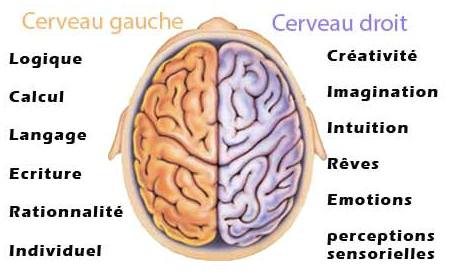 Les émotions au cœur de l'apprentissage