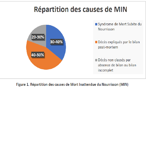 Mort inattendue du nourrisson